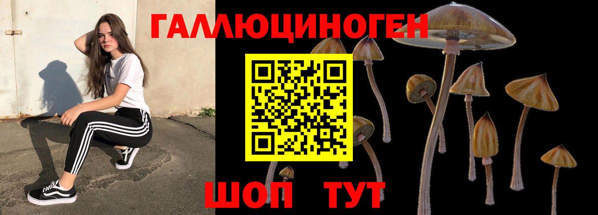 Псилоцибиновые грибы мицелий Краснокамск